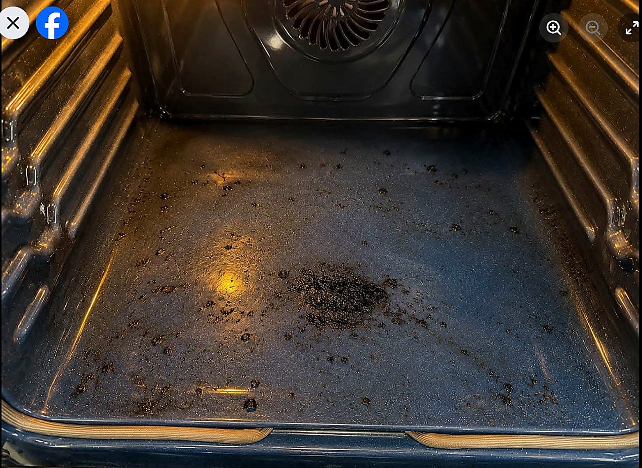 Oven before professional cleaning